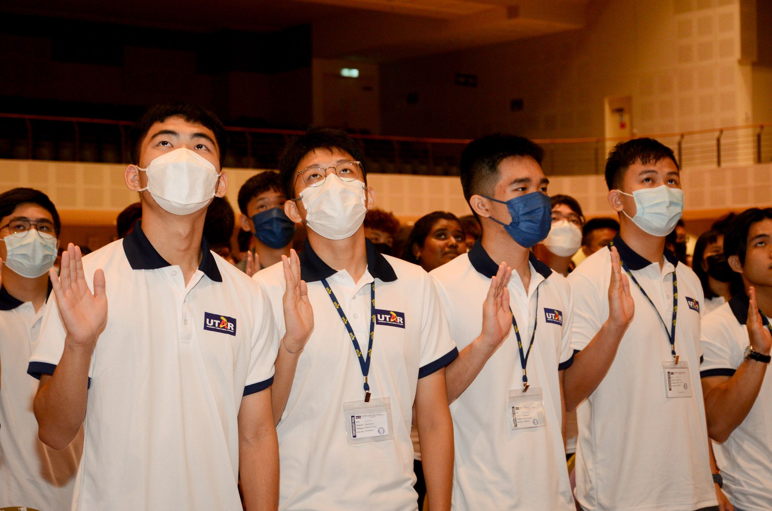 Odoo - Sample 2 for three columns