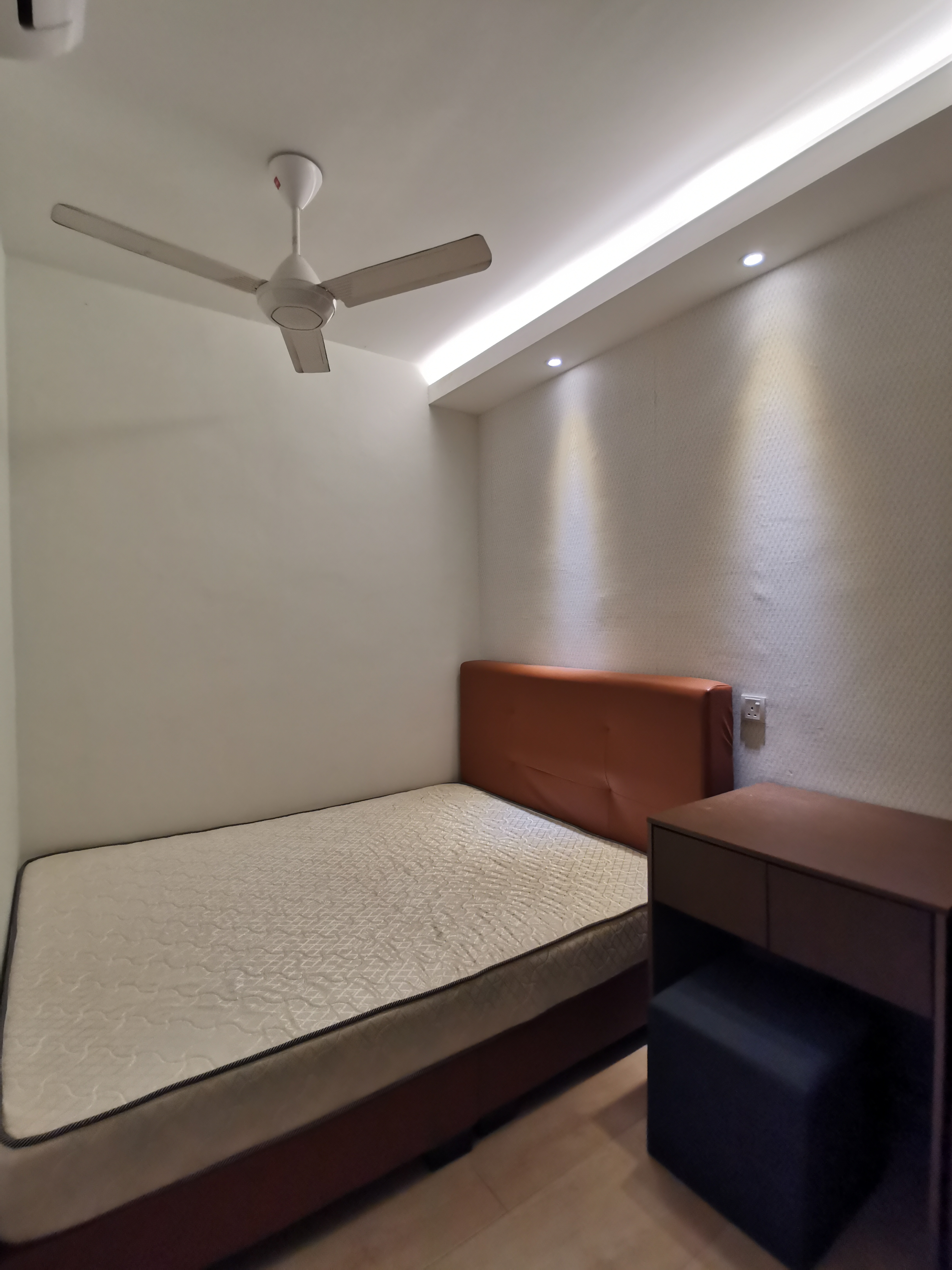 Room Plus TP203  