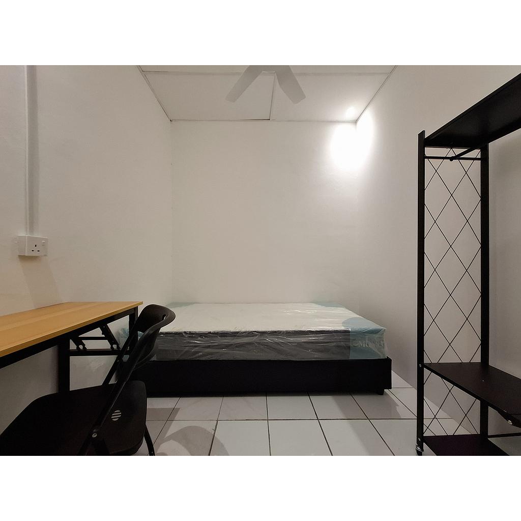 Room Plus 205 06TP43-2